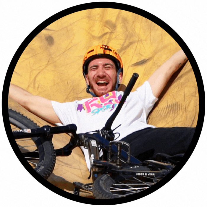 Ivo